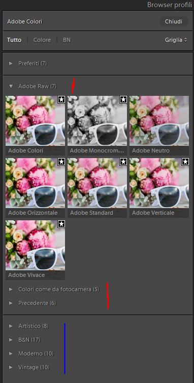 Browser profili Lightroom