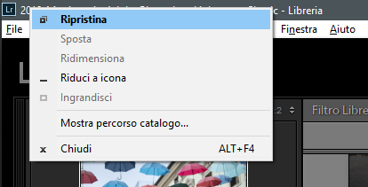 Mostra percorso catalogo Lightroom